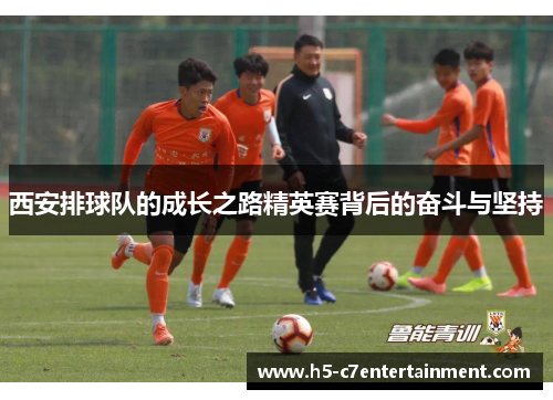 西安排球队的成长之路精英赛背后的奋斗与坚持